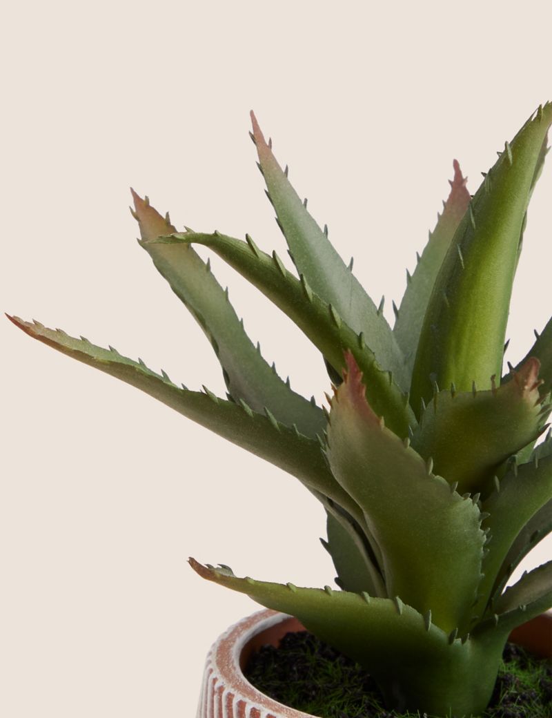 Artificial Aloe Vera Plant in Concrete Pot