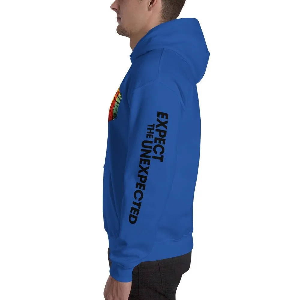 Big Brother Season 25 Logo Hoodie