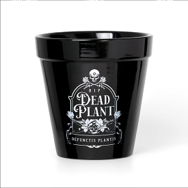 Dead Plant Plant Pot