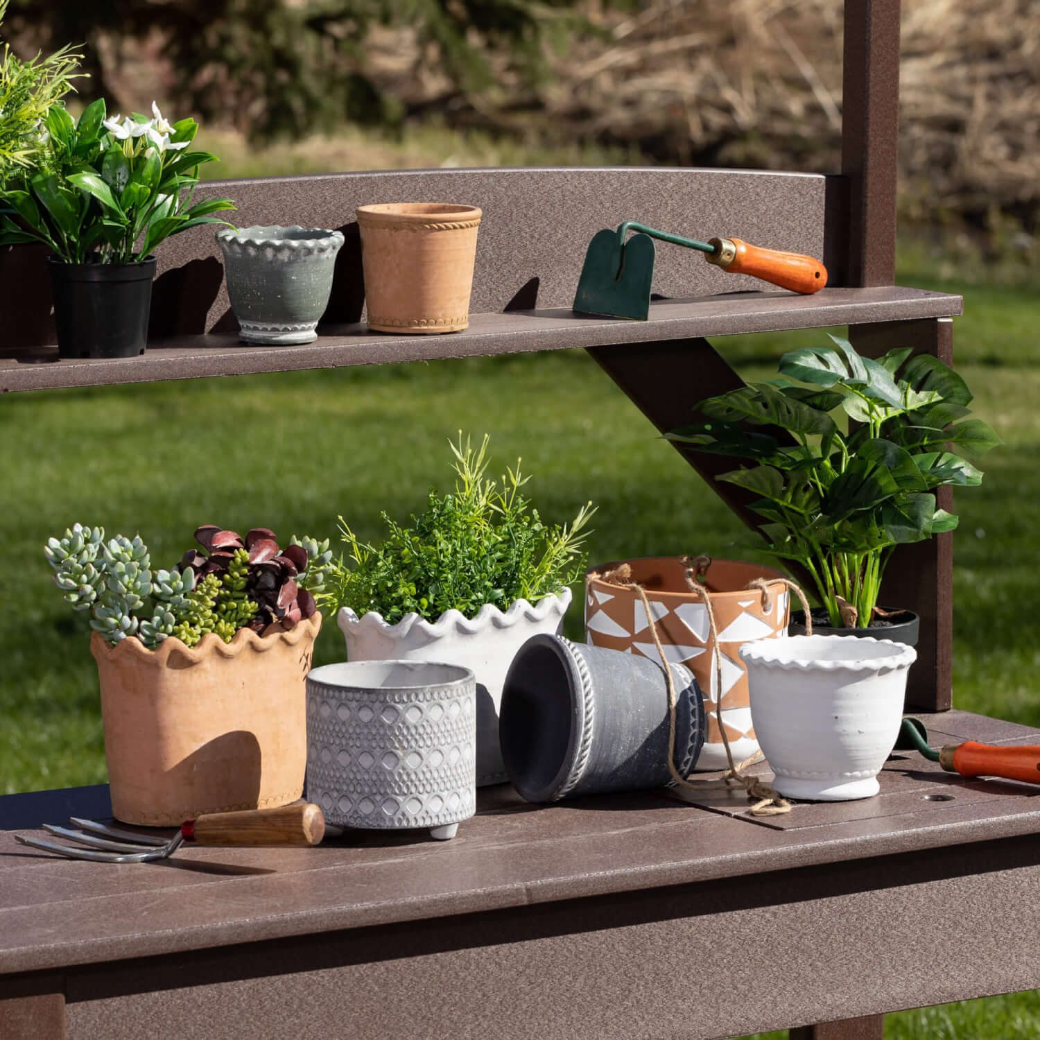 Scalloped Edge Dish Garden Pot